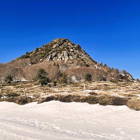 Gite De La Cigale Burzet Dış mekan fotoğraf