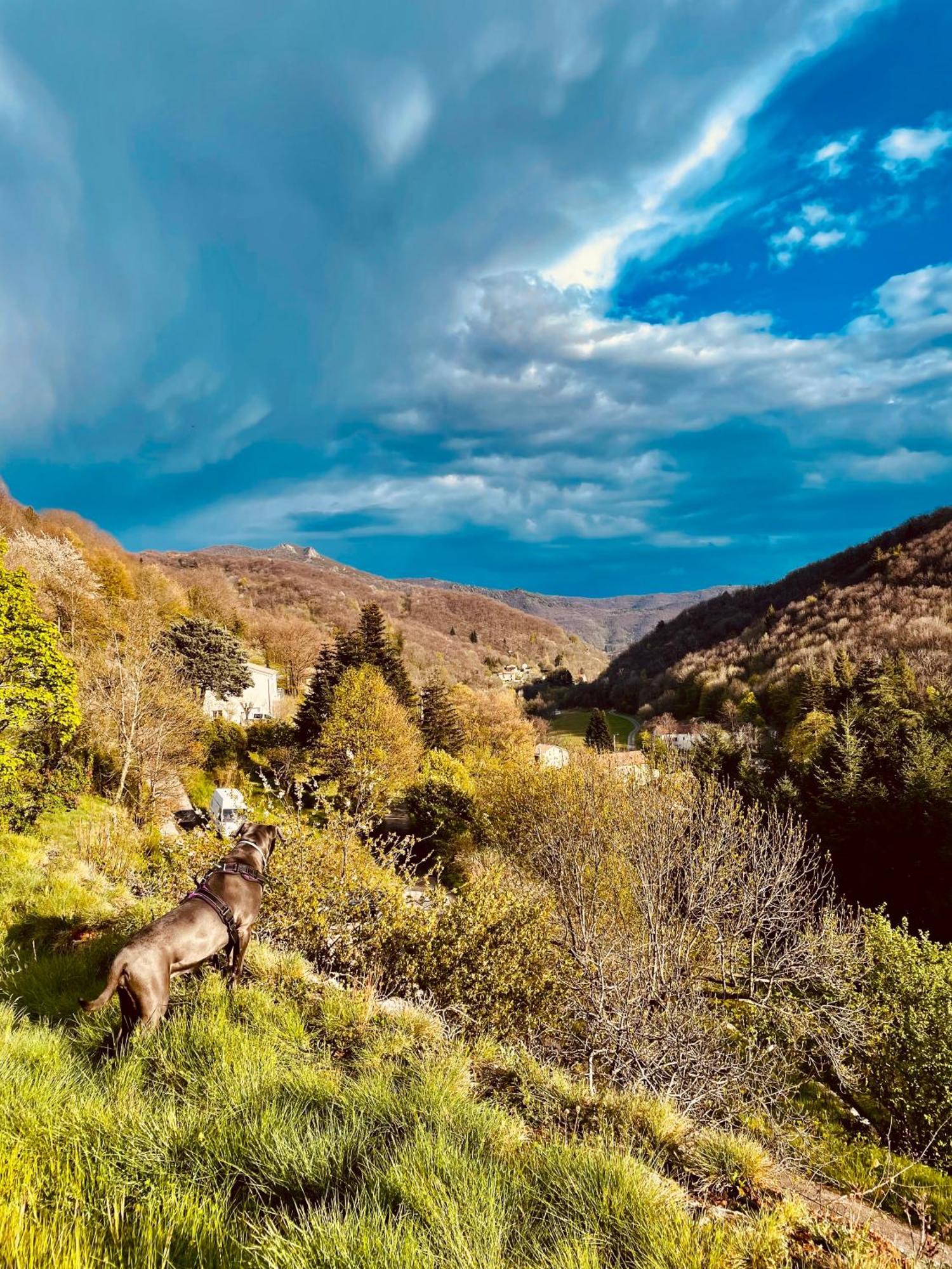 Gite De La Cigale Burzet Dış mekan fotoğraf
